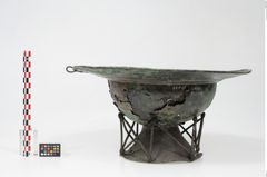 Foto von Bronzebreitrandfußschale (NHMW-PRAE-025437)
